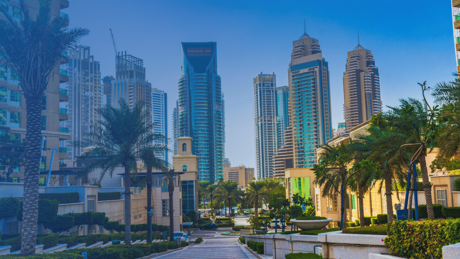 Dubai startups article